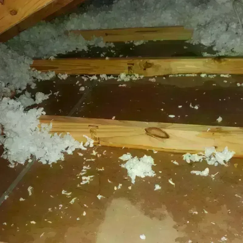 Attic Water Damage in Ivanhoe, CA